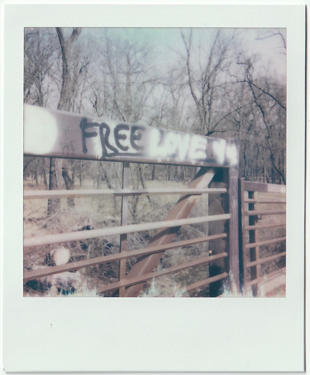 Organizing in the school pickup line