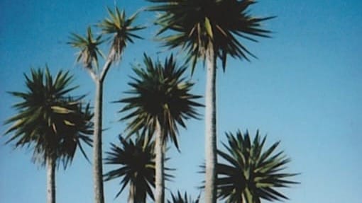 Community Circles in January