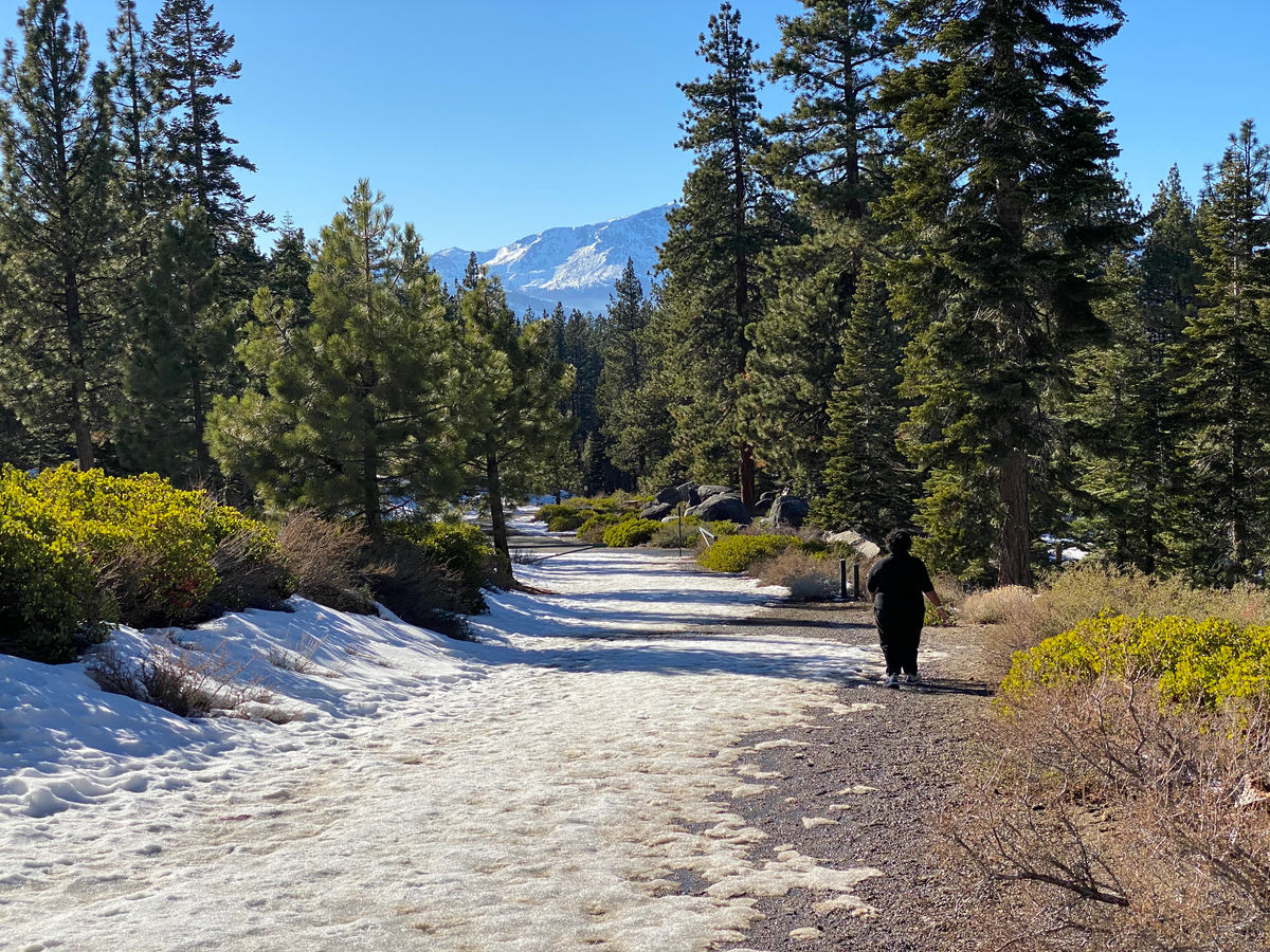 From Doubt to Gratitude: Recognizing Your Contributions