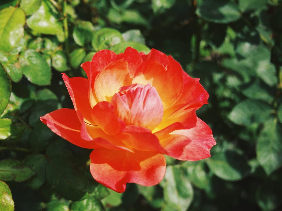 Did we all start blogging again? Honestly, I wish I never left.